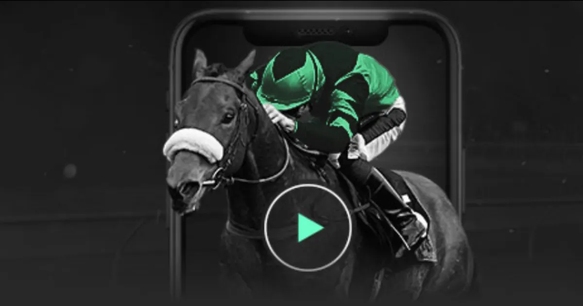 百花迎春,盛大活动以,家庭,世界杯赛程,2026世界杯,比赛安排,举办城市,赛事信息